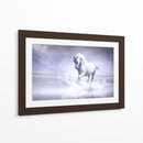Caballo blanco en su universo | Cuadro decorativo de Canvas Lab