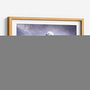 Caballo blanco en su universo | Cuadro decorativo de Canvas Lab