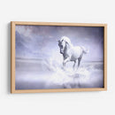 Caballo blanco en su universo | Cuadro decorativo de Canvas Lab