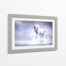 Caballo blanco en su universo | Cuadro decorativo de Canvas Lab