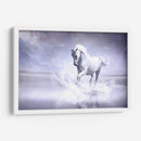 Caballo blanco en su universo | Cuadro decorativo de Canvas Lab