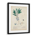Descubiertos Azules Delicados I - A. Descubes | Cuadro decorativo de Canvas Lab