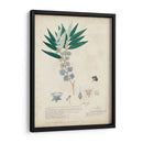 Descubiertos Azules Delicados I - A. Descubes | Cuadro decorativo de Canvas Lab