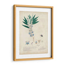 Descubiertos Azules Delicados I - A. Descubes | Cuadro decorativo de Canvas Lab