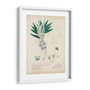 Descubiertos Azules Delicados I - A. Descubes | Cuadro decorativo de Canvas Lab
