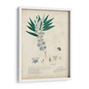 Descubiertos Azules Delicados I - A. Descubes | Cuadro decorativo de Canvas Lab