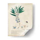 Descubiertos Azules Delicados I - A. Descubes | Cuadro decorativo de Canvas Lab