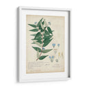 Delicadas Descubiertos Azules Ii - A. Descubes | Cuadro decorativo de Canvas Lab