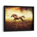 Caballo en el trigal | Cuadro decorativo de Canvas Lab