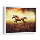 Caballo en el trigal | Cuadro decorativo de Canvas Lab