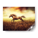 Caballo en el trigal | Cuadro decorativo de Canvas Lab