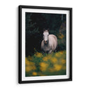 Caballo gris en el campo | Cuadro decorativo de Canvas Lab