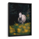 Caballo gris en el campo | Cuadro decorativo de Canvas Lab