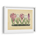 Crocus Ii - Vision Studio | Cuadro decorativo de Canvas Lab