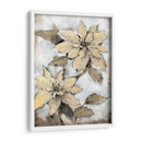 Poinsettia Study I - Tim OToole | Cuadro decorativo de Canvas Lab