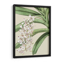Floraciones De Orquídeas I - Vision Studio | Cuadro decorativo de Canvas Lab