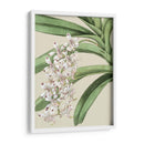 Floraciones De Orquídeas I - Vision Studio | Cuadro decorativo de Canvas Lab