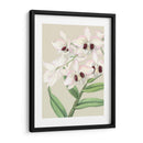 Orchid Blooms Ii - Vision Studio | Cuadro decorativo de Canvas Lab