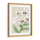 Orchid Blooms Ii - Vision Studio | Cuadro decorativo de Canvas Lab