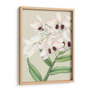 Orchid Blooms Ii - Vision Studio | Cuadro decorativo de Canvas Lab