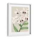 Orchid Blooms Ii - Vision Studio | Cuadro decorativo de Canvas Lab