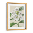 Orchid Blooms Iii - Vision Studio | Cuadro decorativo de Canvas Lab