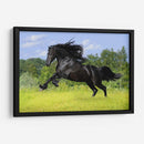 Caballo negro | Cuadro decorativo de Canvas Lab
