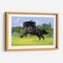 Caballo negro | Cuadro decorativo de Canvas Lab