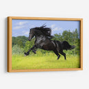 Caballo negro | Cuadro decorativo de Canvas Lab