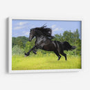 Caballo negro | Cuadro decorativo de Canvas Lab
