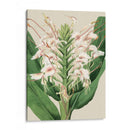 Orchid Blooms Iv - Vision Studio | Cuadro decorativo de Canvas Lab