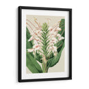 Orchid Blooms Iv - Vision Studio | Cuadro decorativo de Canvas Lab