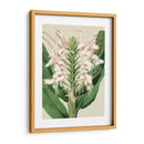 Orchid Blooms Iv - Vision Studio | Cuadro decorativo de Canvas Lab