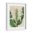 Orchid Blooms Iv - Vision Studio | Cuadro decorativo de Canvas Lab