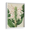 Orchid Blooms Iv - Vision Studio | Cuadro decorativo de Canvas Lab
