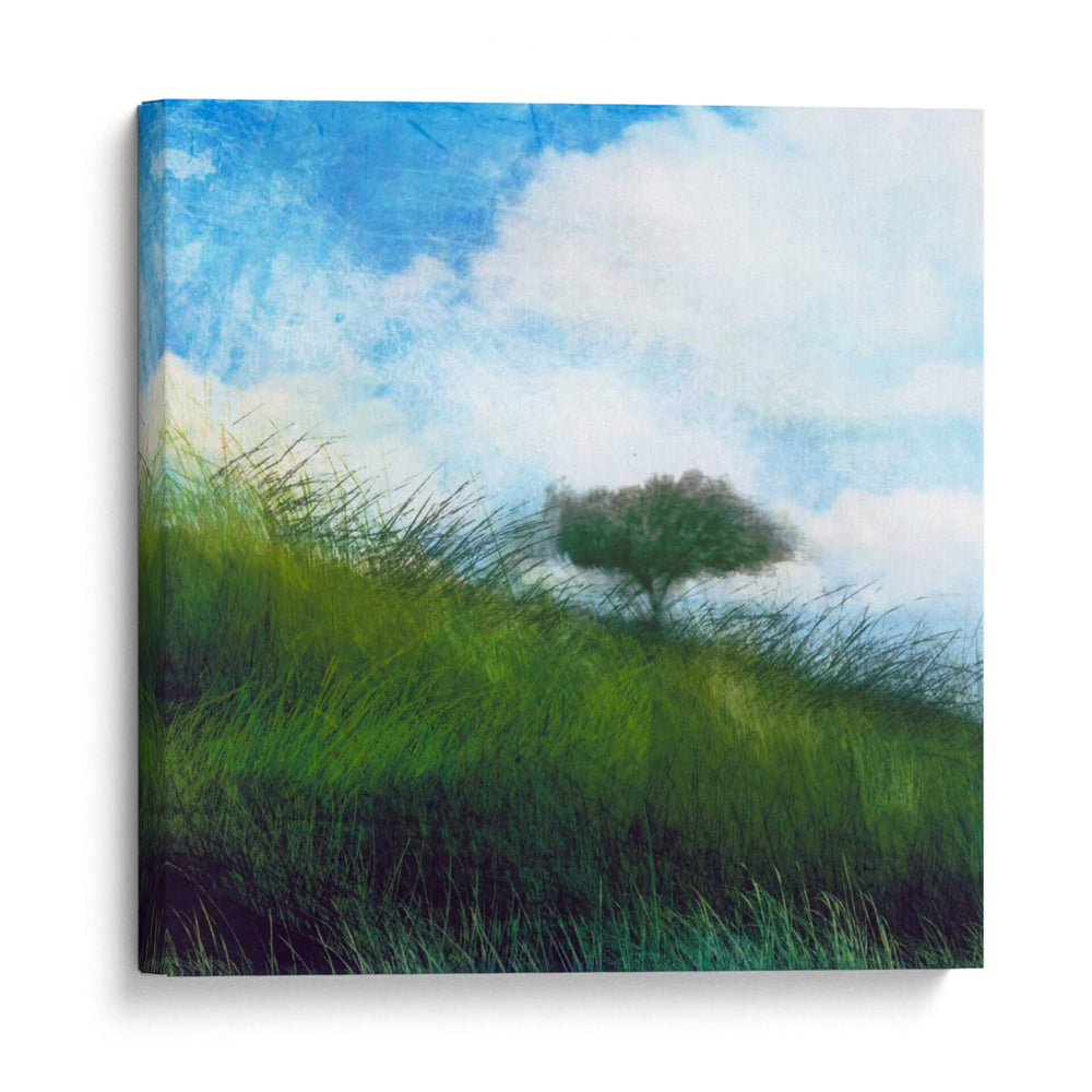 Campo Brillante Iv - Ingrid Blixt | Cuadro decorativo de Canvas Lab