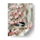 Cereza Flor Pájaro I - Jade Reynolds | Cuadro decorativo de Canvas Lab