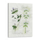 Orégano Y Menta - Elissa Della-Piana | Cuadro decorativo de Canvas Lab