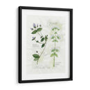 Orégano Y Menta - Elissa Della-Piana | Cuadro decorativo de Canvas Lab
