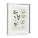 Orégano Y Menta - Elissa Della-Piana | Cuadro decorativo de Canvas Lab