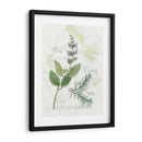 Rosemary Y Sage - Elissa Della-Piana | Cuadro decorativo de Canvas Lab