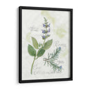 Rosemary Y Sage - Elissa Della-Piana | Cuadro decorativo de Canvas Lab