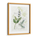 Rosemary Y Sage - Elissa Della-Piana | Cuadro decorativo de Canvas Lab