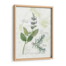 Rosemary Y Sage - Elissa Della-Piana | Cuadro decorativo de Canvas Lab