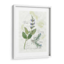 Rosemary Y Sage - Elissa Della-Piana | Cuadro decorativo de Canvas Lab