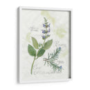 Rosemary Y Sage - Elissa Della-Piana | Cuadro decorativo de Canvas Lab