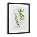 Hoja De Laurel Y Enebro - Elissa Della-Piana | Cuadro decorativo de Canvas Lab