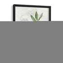 Hoja De Laurel Y Enebro - Elissa Della-Piana | Cuadro decorativo de Canvas Lab