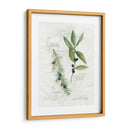 Hoja De Laurel Y Enebro - Elissa Della-Piana | Cuadro decorativo de Canvas Lab