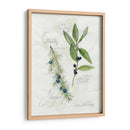 Hoja De Laurel Y Enebro - Elissa Della-Piana | Cuadro decorativo de Canvas Lab